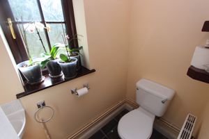 Photo 11- click for photo gallery